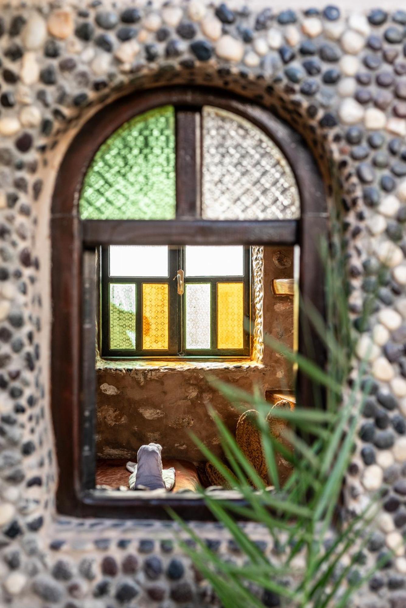 Dar Afoulky Maison D'Hotes 西迪考乌奇 外观 照片